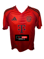 Bayern Munich 24/25 Away Jersey