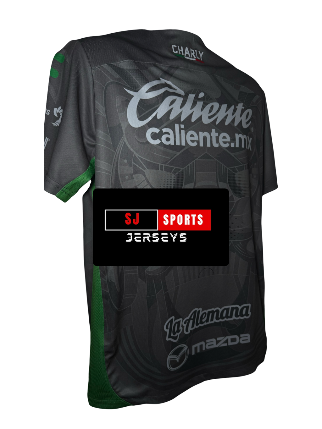 24/25 Leon 3rd Kit