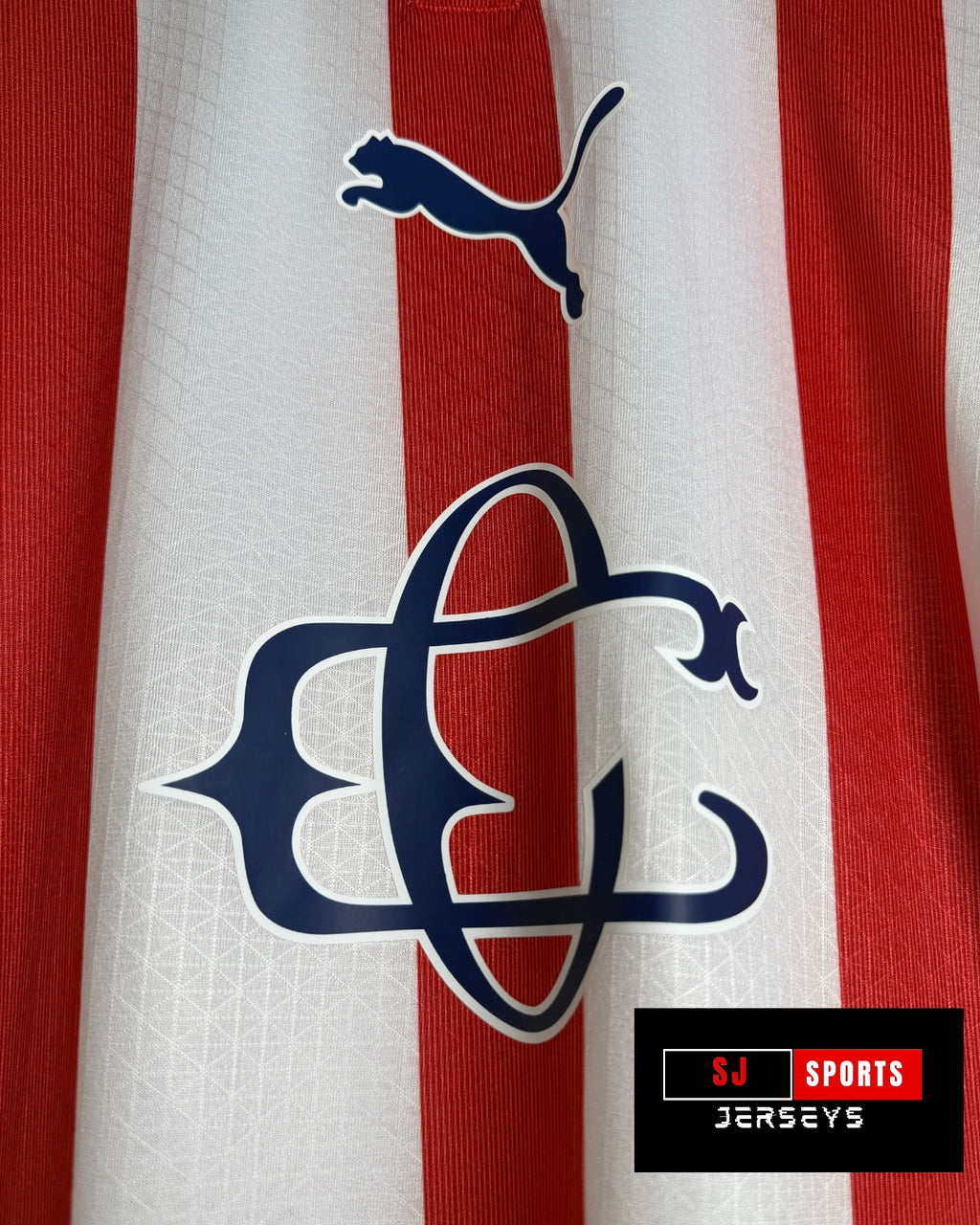 Chivas 25/26 120th Anniversary Jersey