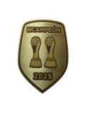 Bicampeón Patch/ Parche