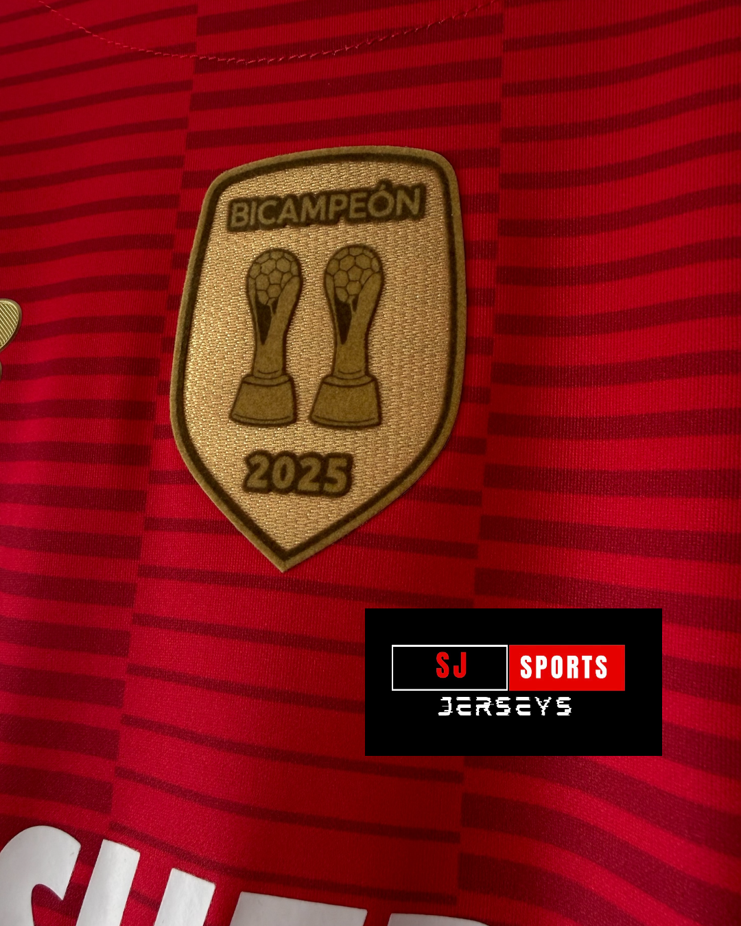 25/26 Toluca Home